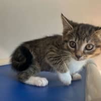 Photo of Sabine