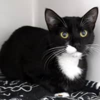 Photo of Josie Sta015541
