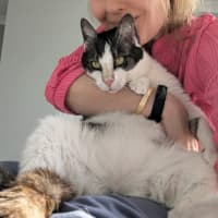 Photo of Gus **A Gentle Giant**