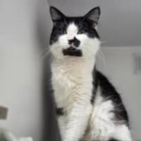 Photo of Snuffles