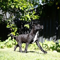 Photo of Lumen