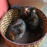 Photo of Ella & Nina 🌷🌷