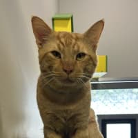 Photo of Arlo