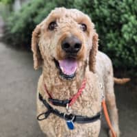 Photo of Macey