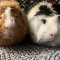 Photo of Cruise & Miles