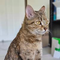 Photo of Willow
