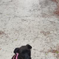 Photo of Wicked Chocolate