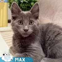 Photo of Max