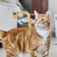 Photo of 🌤 Kenny 5576 🌤