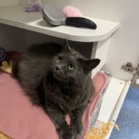 Photo of Esky
