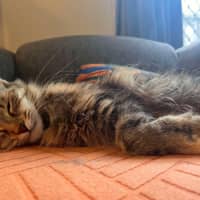 Photo of Penelope 🩷