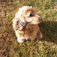 Photo of Ruby