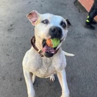 Photo of Buddy Xenos