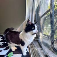 Photo of Milky