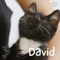 Photo of 🤍🖤David & Austin 🖤🤍
