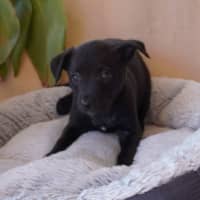 Photo of Zoe