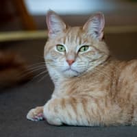 Photo of Sally & Denny