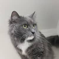 Photo of 💞 Pablo 6791 💞