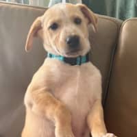 Photo of Donnie