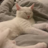 Photo of Mina