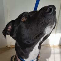 Photo of Maizy