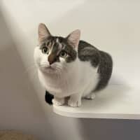 Photo of Razzmatazz