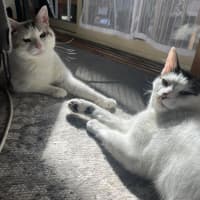 Photo of Possum & Spex 