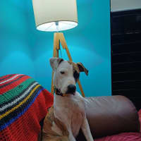 Photo of Suzie