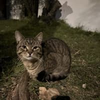 Photo of Test2