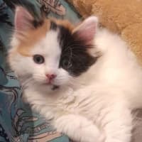 Photo of Bingo