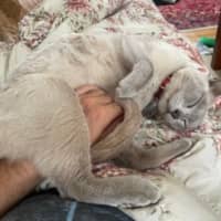 Photo of Mikki & Monty