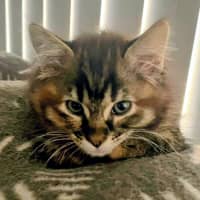 Photo of Mozee
