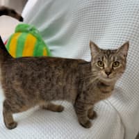 Photo of Sally Field (9004)