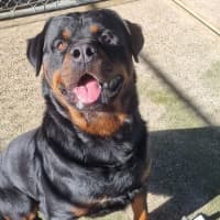 Photo of Big Red