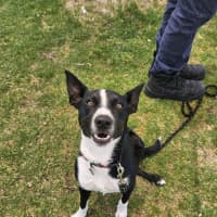 Photo of Nando (Spyro)