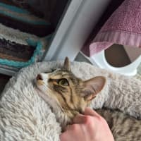 Photo of Bailey!  👑 