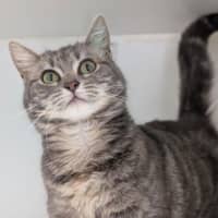 Photo of Maggie