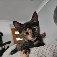 Photo of Maisie