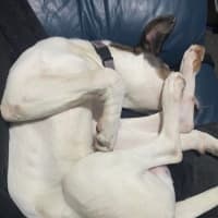 Photo of Jinkx Monsoon