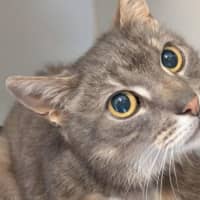 Photo of Jeffrey