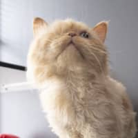 Photo of Sammy