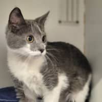 Photo of Harriet