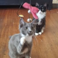 Photo of Llewelyn (Lou)