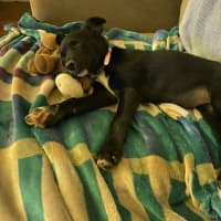 Photo of Mia