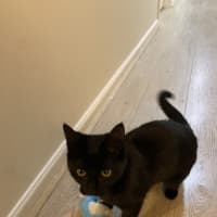 Photo of Nala (Was Wilma)