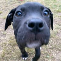 Photo of Penny Lane