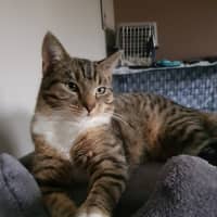 Photo of Luna