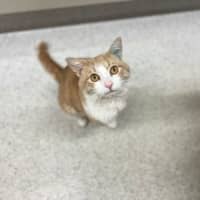 Photo of Ollie