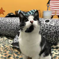 Photo of Madeline