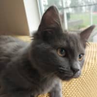 Photo of Denim